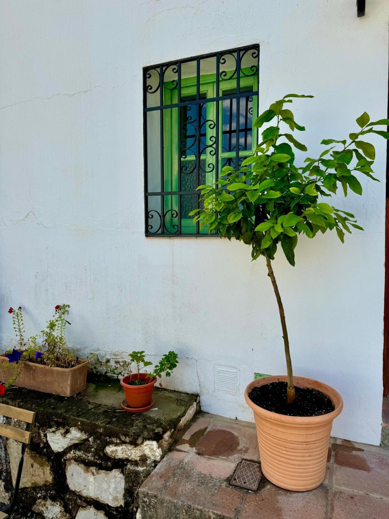 Villa Casa Leon Montejaque Esterno foto